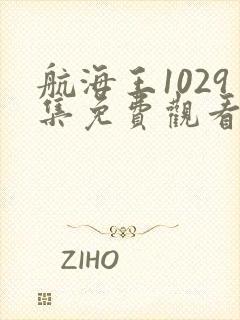 航海王1029集免费观看