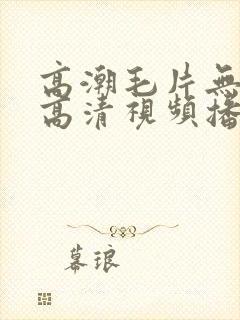 高潮毛片无遮挡高清视频播放