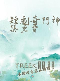 短剧奇门神王全集免费