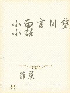 小白言川双男主小说