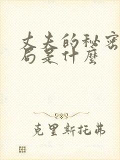 丈夫的秘密大结局是什么