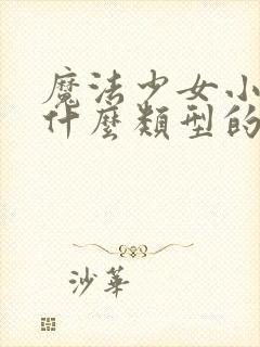 魔法少女小圆是什么类型的番