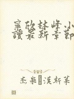 宁欣林峰小说阅读最新章节