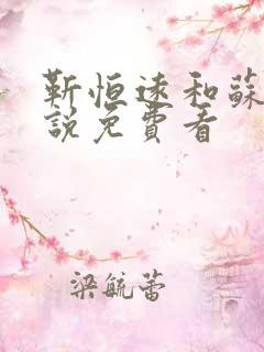 靳恒远和苏锦小说免费看