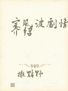 定风波剧情分集介绍