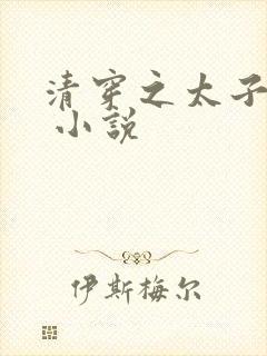 清穿之太子娇妃 小说