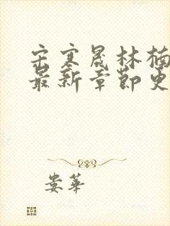 宋寒晟林楠小说最新章节更新