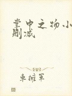 掌中之物小说无删减