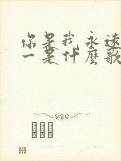 你是我永远的唯一是什么歌的歌词