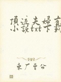 顶流夫妇有点甜小说txt下载