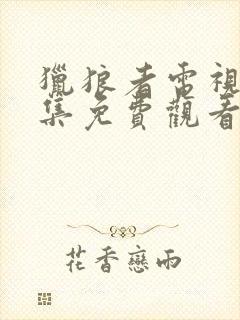 猎狼者电视剧全集免费观看