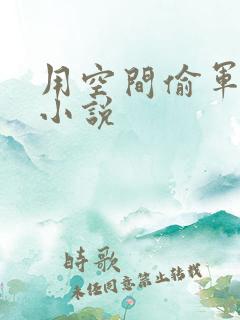 用空间偷军火的小说