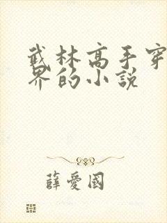 武林高手穿越异界的小说