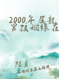 2000年属龙男孩姻缘在哪一年