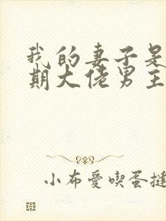 我的妻子是大乘期大佬男主几个老婆