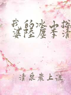 我的冰山总裁老婆陆尘李清瑶