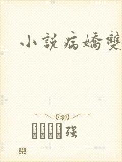 小说病娇双男主