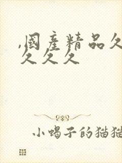 ,国产精品久久久久久