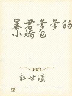 暴君爹爹的团宠小娇包