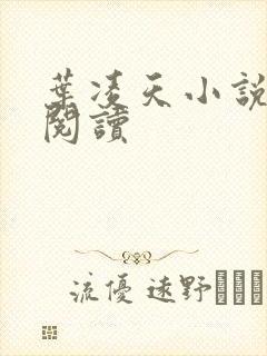 叶凌天小说在线阅读