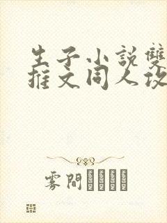 生子小说双男主推文同人攻文