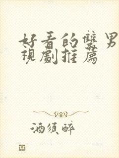 好看的双男主电视剧推荐