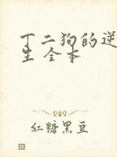 丁二狗的逆袭人生 全本
