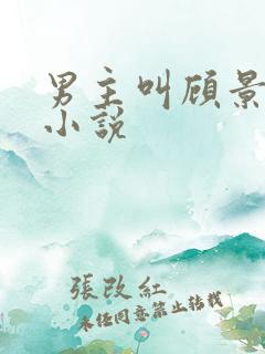 男主叫顾景琛的小说