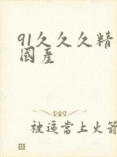 91久久久精品国产