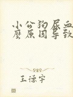 小公狗尿血是什么原因导致的