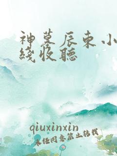 神墓辰东小说在线收听