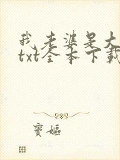 我老婆是大明星txt全本下载