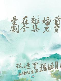 爱在离婚前电视剧全集免费观看