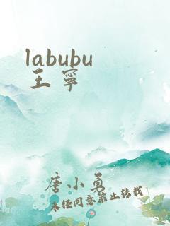 labubu 王宁