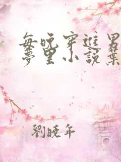 每晚穿进男神的梦里小说叶芝琴