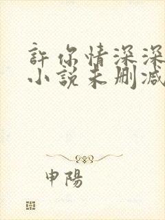 许你情深深似海小说未删减版