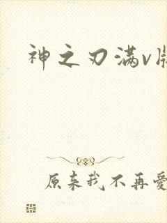 神之刃满v版