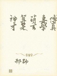 神算萌妻傅太太才是玄学真大佬怎么样