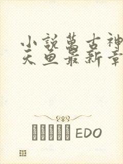 小说万古神帝飞天鱼最新章节目录