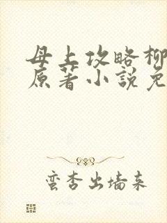 母上攻略柳如裳原著小说免费阅读