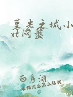 暮光之城小说txt网盘