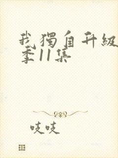 我独自升级第二季11集