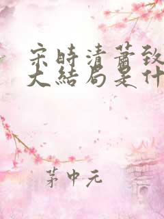 宋时清萧致徐蓉大结局是什么