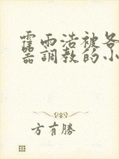 霍雨浩被各种性器调教的小说