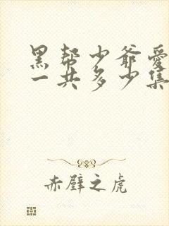 黑帮少爷爱上我一共多少集