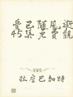 爱已随风逝短剧45集免费观看沈凝