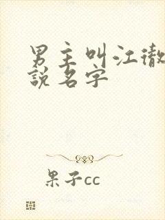 男主叫江彻的小说名字