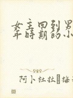 女主回到男主少年时期的小说