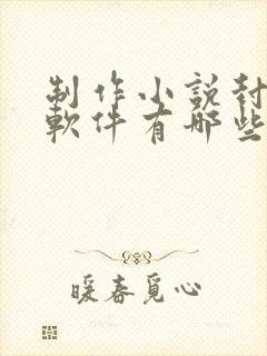 制作小说封面的软件有哪些