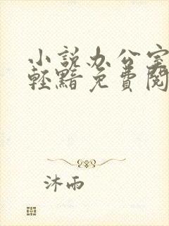 小说办公室隐婚轻黯免费阅读全文